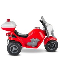 Panthera Akülü Motor 6V