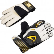 Kaleci Eldiveni (XSS)