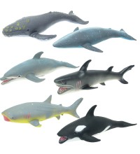 Soft Vahşi Okyanus Canlıları