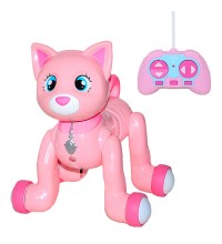 Uzaktan Kumandalı Kedi